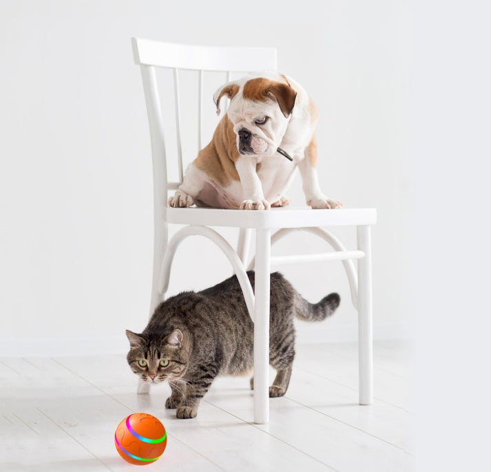 PePelota ™️ - la pelota inteligente diseñada para perros