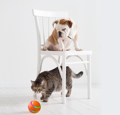 PePelota ™️ - la pelota inteligente diseñada para perros
